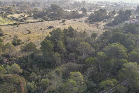 Helårsgrund i Algaida, Mallorca, Algaida - € 375.000 | Ref: FALC-SoSc-78797 - foto 14