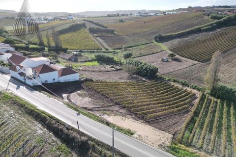 Terra a Alenquer, Lisbon, Alenquer - € 98.000 | Ref: SÒL_194 - foto 4