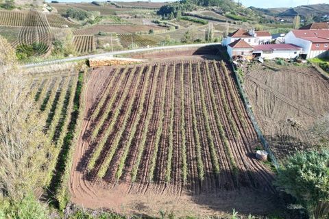 Terra a Alenquer, Lisbon, Alenquer - € 98.000 | Ref: SÒL_194 - foto 5