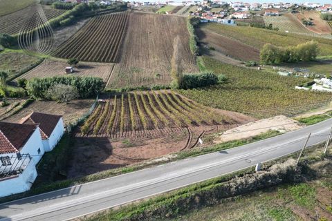 Terra a Alenquer, Lisbon, Alenquer - € 98.000 | Ref: SÒL_194 - foto 8