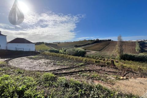 Terra a Alenquer, Lisbon, Alenquer - € 98.000 | Ref: SÒL_194 - foto 10