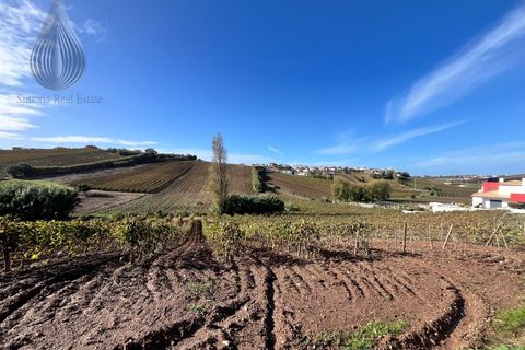 Terra a Alenquer, Lisbon, Alenquer - € 98.000 | Ref: SÒL_194 - foto 13