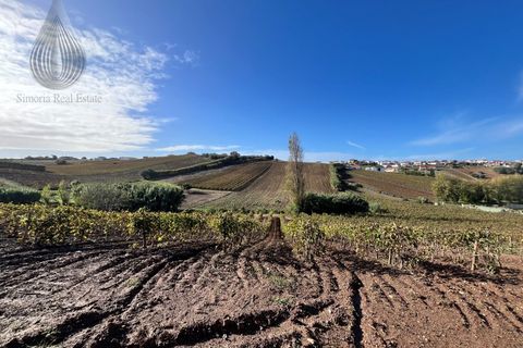 Terra a Alenquer, Lisbon, Alenquer - € 98.000 | Ref: SÒL_194 - foto 14