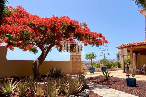 Rækkehus i Adeje, Tenerife, Adeje - € 799.000 | Ref: 1510 - foto 7
