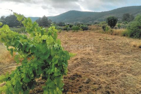 Tomt i Fundao, Castelo Branco, Fundao - € 42 500 | Ref: 394250146 - foto 4