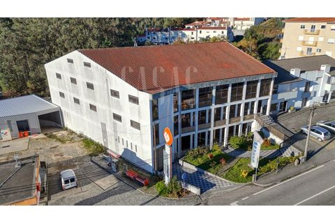 Erhvervsejendom i Sever do Vouga, Aveiro, Sever do Vouga - € 1.555.000 | Ref: CCA214 - foto 4