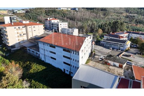 Erhvervsejendom i Sever do Vouga, Aveiro, Sever do Vouga - € 1.555.000 | Ref: CCA214 - foto 5