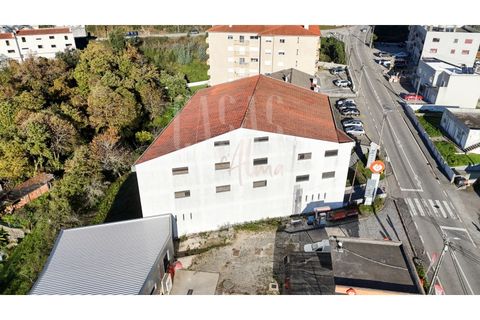 Erhvervsejendom i Sever do Vouga, Aveiro, Sever do Vouga - € 1.555.000 | Ref: CCA214 - foto 6