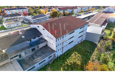 Erhvervsejendom i Sever do Vouga, Aveiro, Sever do Vouga - € 1.555.000 | Ref: CCA214 - foto 7