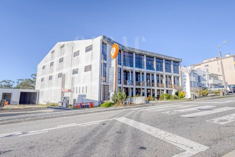 Erhvervsejendom i Sever do Vouga, Aveiro, Sever do Vouga - € 1.555.000 | Ref: CCA214 - foto 8