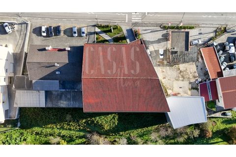 Erhvervsejendom i Sever do Vouga, Aveiro, Sever do Vouga - € 1.555.000 | Ref: CCA214 - foto 9