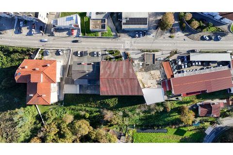 Erhvervsejendom i Sever do Vouga, Aveiro, Sever do Vouga - € 1.555.000 | Ref: CCA214 - foto 10