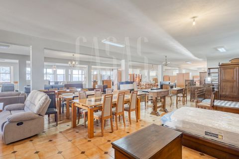 Erhvervsejendom i Sever do Vouga, Aveiro, Sever do Vouga - € 1.555.000 | Ref: CCA214 - foto 20