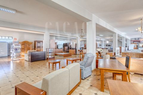 Erhvervsejendom i Sever do Vouga, Aveiro, Sever do Vouga - € 1.555.000 | Ref: CCA214 - foto 23