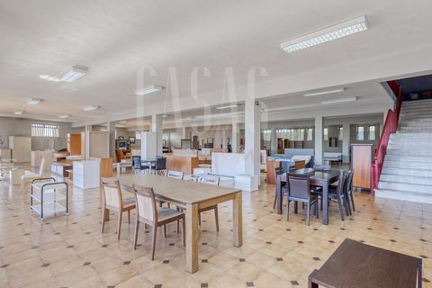 Erhvervsejendom i Sever do Vouga, Aveiro, Sever do Vouga - € 1.555.000 | Ref: CCA214 - foto 25