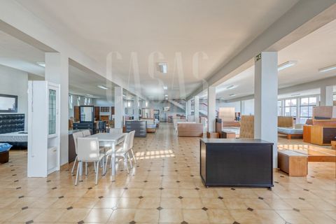 Erhvervsejendom i Sever do Vouga, Aveiro, Sever do Vouga - € 1.555.000 | Ref: CCA214 - foto 27