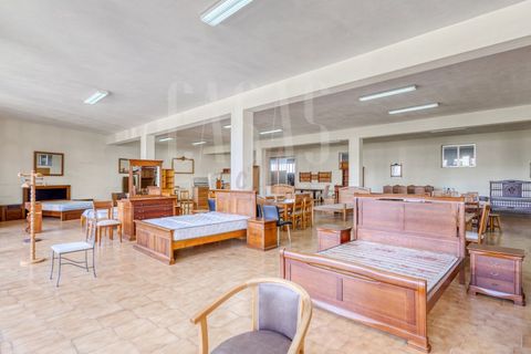 Erhvervsejendom i Sever do Vouga, Aveiro, Sever do Vouga - € 1.555.000 | Ref: CCA214 - foto 31