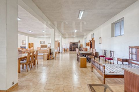 Erhvervsejendom i Sever do Vouga, Aveiro, Sever do Vouga - € 1.555.000 | Ref: CCA214 - foto 32