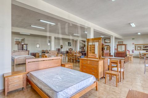 Erhvervsejendom i Sever do Vouga, Aveiro, Sever do Vouga - € 1.555.000 | Ref: CCA214 - foto 34