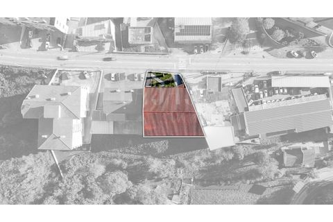 Erhvervsejendom i Sever do Vouga, Aveiro, Sever do Vouga - € 1.555.000 | Ref: CCA214 - foto 42