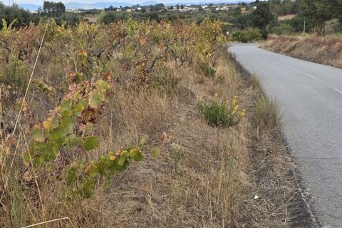 Terra a Ferro, Castelo Branco, Ferro - € 55.000 | Ref: TER_156 - foto 2