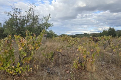 Terra a Ferro, Castelo Branco, Ferro - € 55.000 | Ref: TER_156 - foto 4