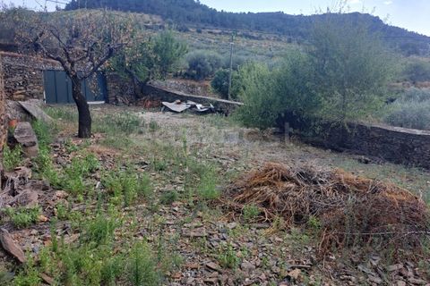 Villa i Torre de Moncorvo, Braganca, Torre de Moncorvo - € 91.000 | Ref: BG98418MG - foto 15