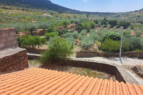 Villa i Torre de Moncorvo, Braganca, Torre de Moncorvo - € 91.000 | Ref: BG98418MG - foto 16
