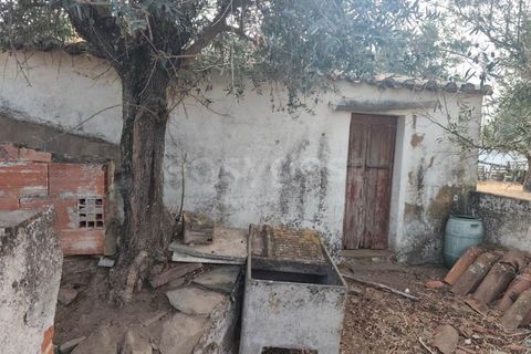 Villa i Almodovar, Beja, Almodovar - € 42.000 | Ref: BJ98410AJ - foto 4