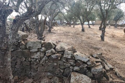 Villa i Almodovar, Beja, Almodovar - € 42.000 | Ref: BJ98410AJ - foto 6