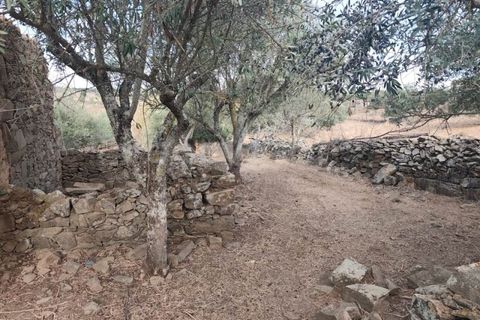 Villa i Almodovar, Beja, Almodovar - € 42.000 | Ref: BJ98410AJ - foto 9