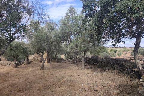 Villa i Almodovar, Beja, Almodovar - € 42.000 | Ref: BJ98410AJ - foto 10