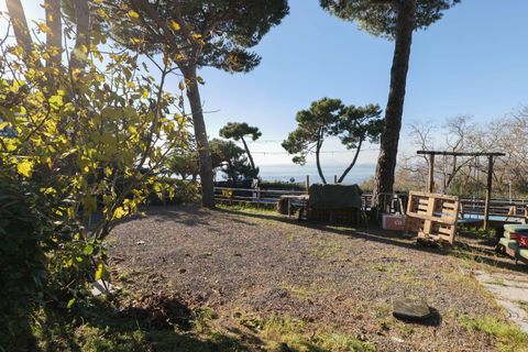 Erhvervsejendom i Ercolano, Naples, Ercolano - € 1.700.000 | Ref: 39 - foto 21