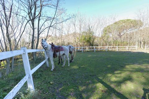 Erhvervsejendom i Ercolano, Naples, Ercolano - € 1.700.000 | Ref: 39 - foto 35