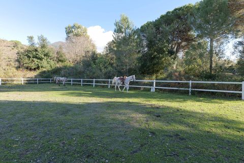 Erhvervsejendom i Ercolano, Naples, Ercolano - € 1.700.000 | Ref: 39 - foto 36