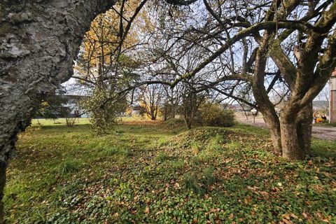 Helårsgrund i Archettes, Vosges, Archettes - € 159.500 | Ref: 86463700 - foto 3
