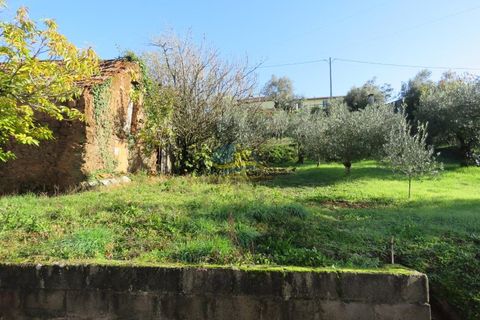Byhus i Alvaiazere, Leiria, Alvaiazere - € 265.000 | Ref: ko2694 - foto 45