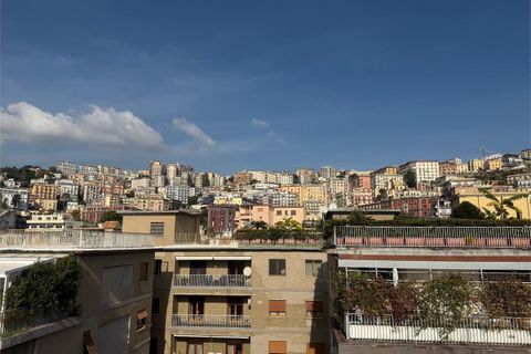 Apartament a Naples, Naples, Naples - € 1.600/mes | Ref: TLF-203 - foto 16