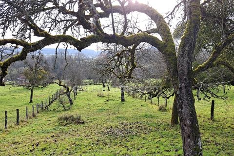 Byhus i Jussey, Haute-Saone, Jussey - € 69.000 | Ref: 830036165606 - foto 20