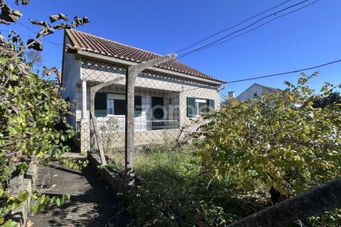 Villa a Asseiceira, Santarem, Asseiceira - € 239.000 | Ref: ZMPT583324 - foto 5