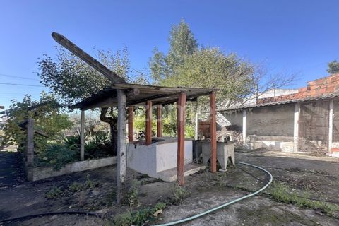 Villa a Asseiceira, Santarem, Asseiceira - € 239.000 | Ref: ZMPT583324 - foto 28