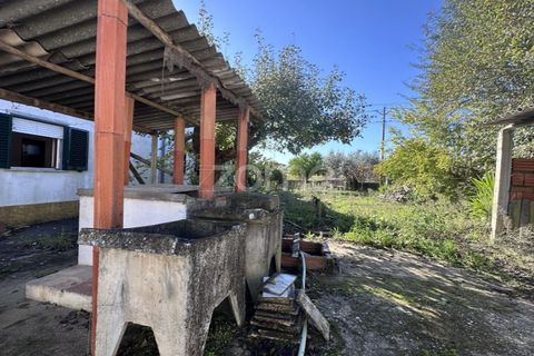 Villa a Asseiceira, Santarem, Asseiceira - € 239.000 | Ref: ZMPT583324 - foto 29
