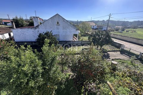 Villa a Asseiceira, Santarem, Asseiceira - € 239.000 | Ref: ZMPT583324 - foto 31