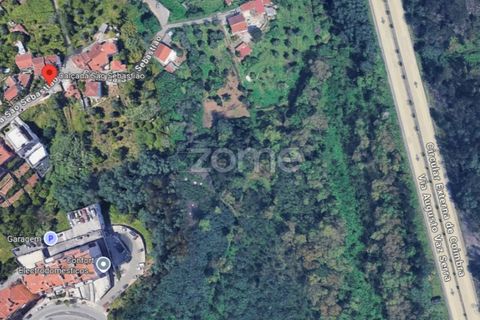 Helårsgrund i Coimbra, Coimbra, Coimbra - € 140.000 | Ref: ZMPT583154 - foto 10