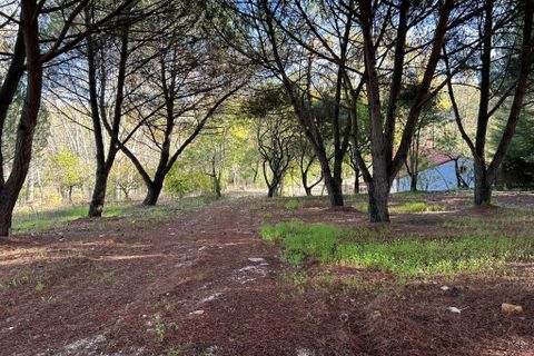 Byhus i Tomar, Santarem, Tomar - € 395.000 | Ref: A572025 - foto 6