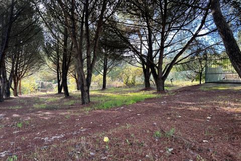 Byhus i Tomar, Santarem, Tomar - € 395.000 | Ref: A572025 - foto 7