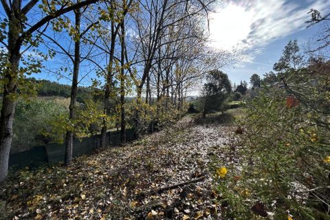Byhus i Tomar, Santarem, Tomar - € 395.000 | Ref: A572025 - foto 8