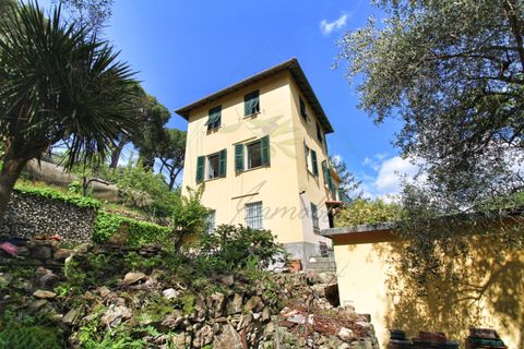 Villa a Camogli, Genoa, Camogli - € 800.000 | Ref: 581DV-2-1 - foto 7