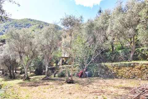 Villa a Camogli, Genoa, Camogli - € 800.000 | Ref: 581DV-2-1 - foto 12