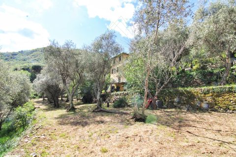 Villa a Camogli, Genoa, Camogli - € 800.000 | Ref: 581DV-2-1 - foto 13
